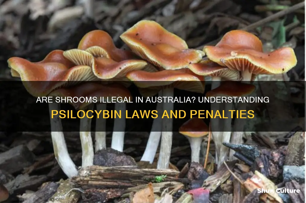 are shrooms illegal in australia