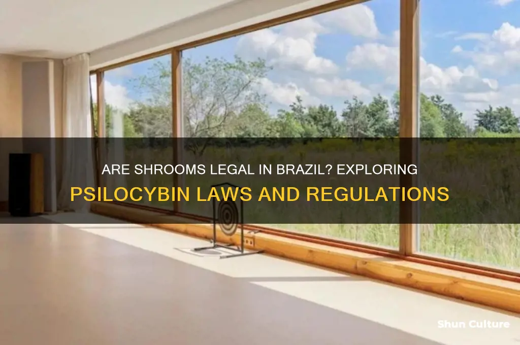 are shrooms legal in brazil