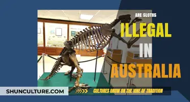 Are Sloths Illegal in Australia? Unraveling the Exotic Pet Laws