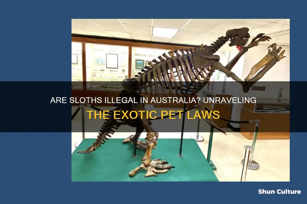are sloths illegal in australia