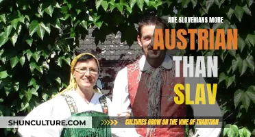 Slovenian Identity: More Austrian or Slavic?