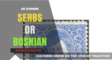 Unraveling the Confusion: Are Slovenians Serbs or Bosnians?