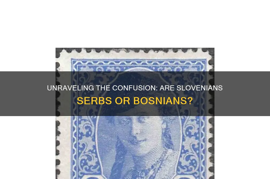 are slovenians serbs or bosnian