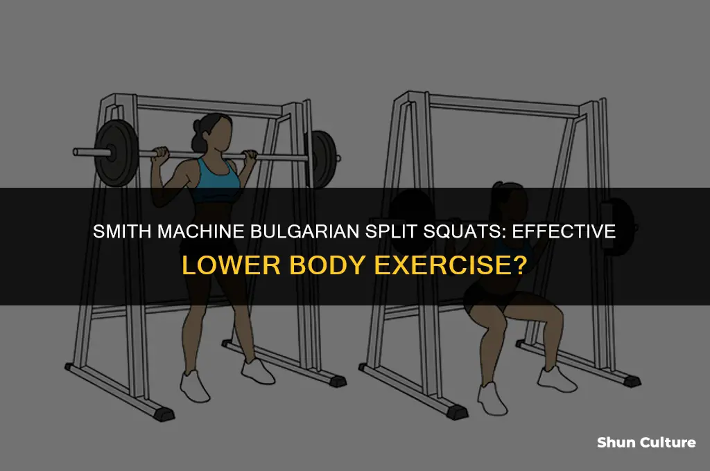 are smith machine bulgarian split squats good