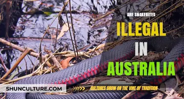 Are Snakebites Illegal in Australia? Exploring the Legalities of Venomous Bites