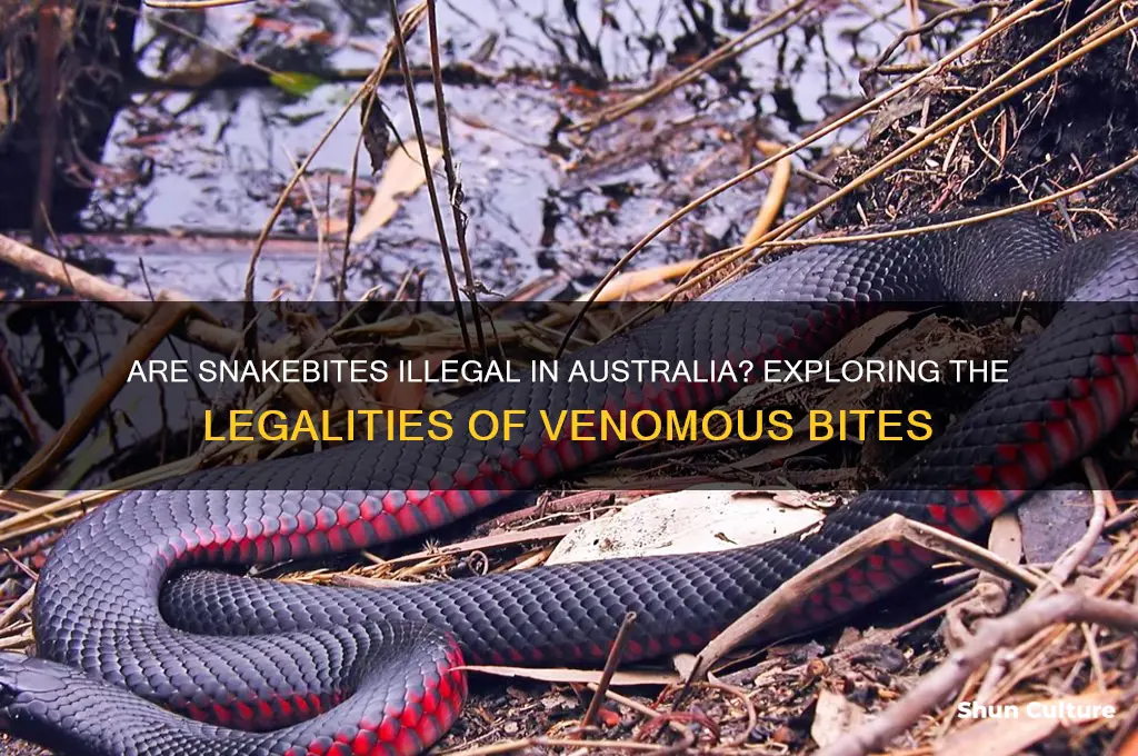 are snakebites illegal in australia