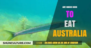 Snook Edibility: Are They Safe to Eat?