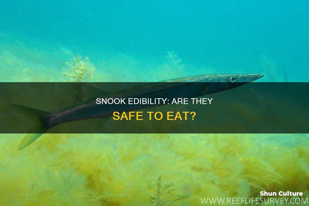 are snook good to eat australia