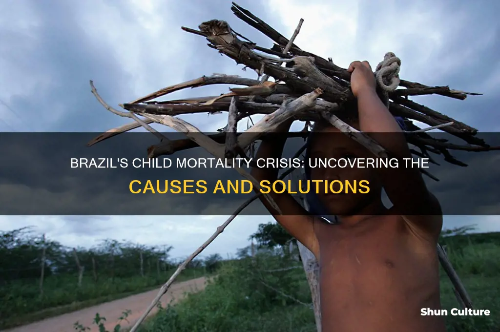 are so children brazil dying from