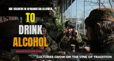 Alcohol and the Afghan Battlefield: Understanding the Rules for Soldiers