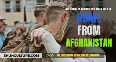 The Homecoming: Unveiling the Reintegration Process for Soldiers Returning from Afghanistan