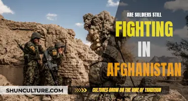 The Lingering Conflict: Afghanistan's Enduring Battle