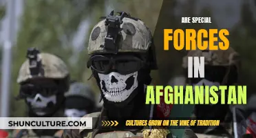 Shadow Warriors: Unveiling the Secrets of Afghanistan's Special Forces