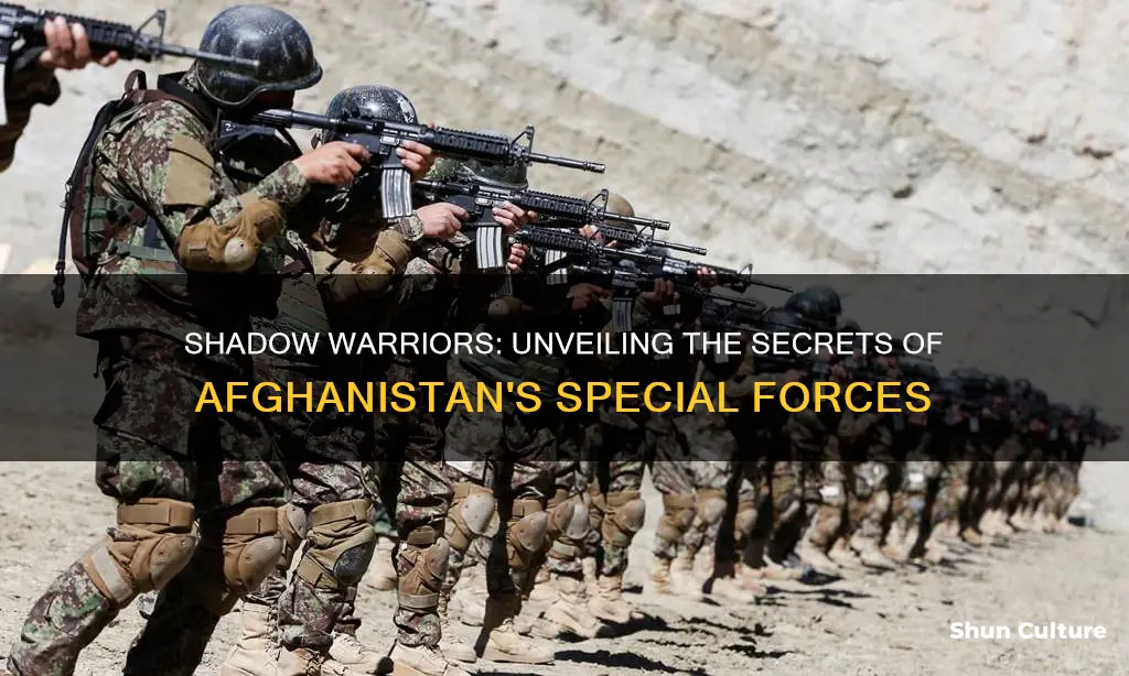 are special forces in afghanistan