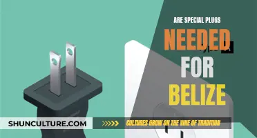 Traveling to Belize? Plug Adapter Essentials