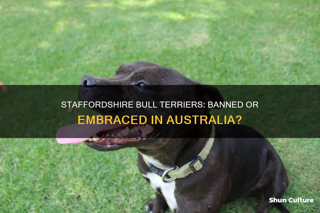 are staffordshire bull terriers banned in australia