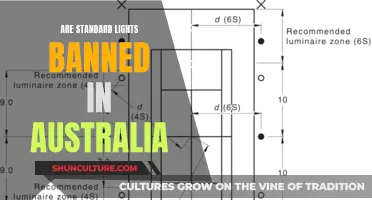 Standard Lights: Australia's Ban and What's Next
