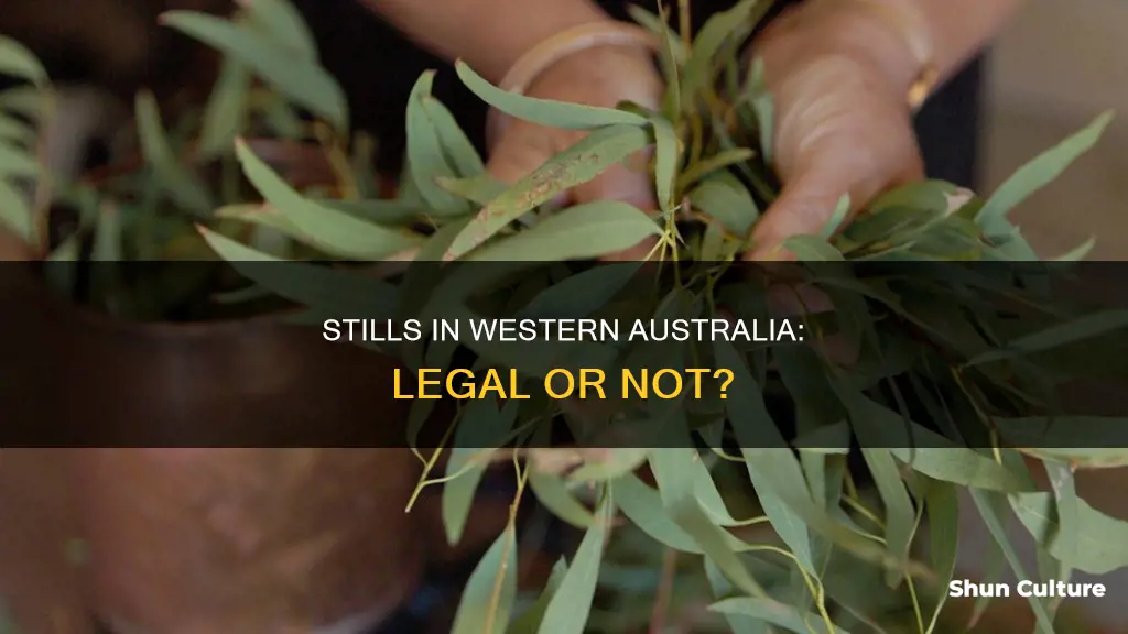 are stills illegal in western australia