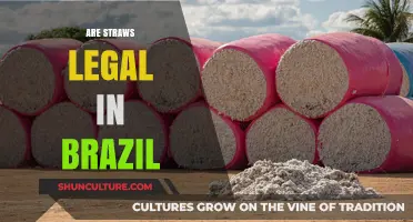 Are Straws Legal in Brazil? Understanding the Current Regulations