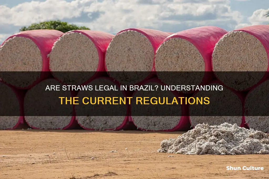 are straws legal in brazil