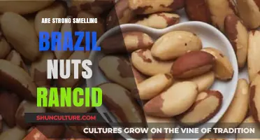 Are Strong-Smelling Brazil Nuts Rancid? Understanding the Aroma and Freshness