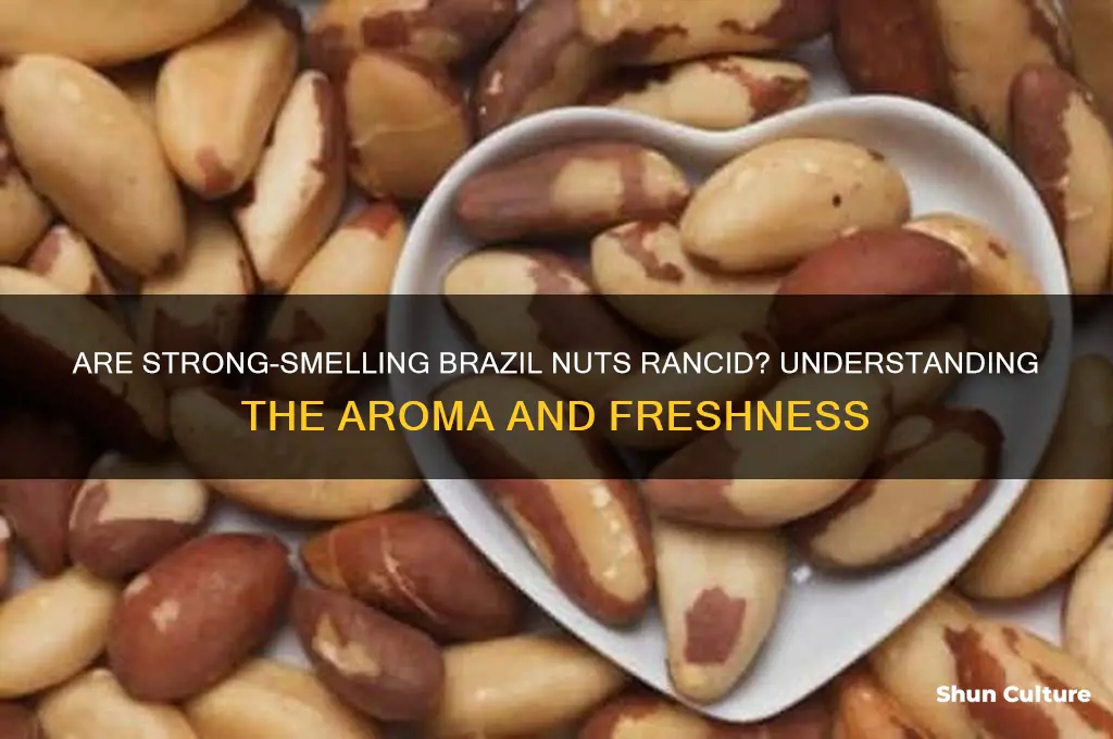 are strong smelling brazil nuts rancid