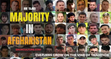 The Ethnic Makeup of Afghanistan: Unraveling the Tajik-Pashtun Dynamic