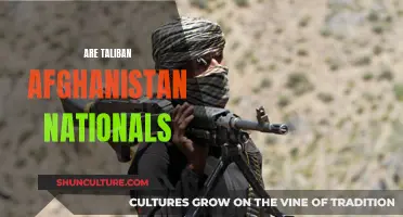 The Complex Identity Politics of the Taliban: Afghan Nationalism in Question