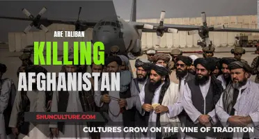 The Haunting Return: Taliban's Reign of Terror in Afghanistan