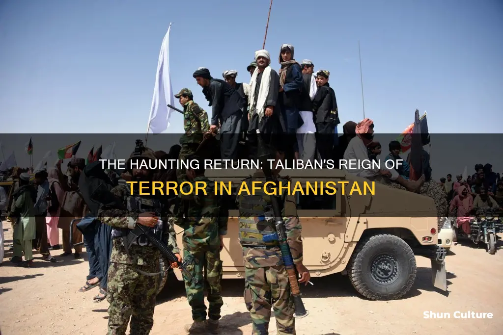 are taliban killing afghanistan