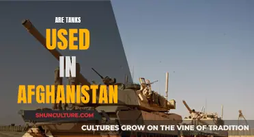 The Use of Tanks in Afghanistan's Complex Terrain: A Strategic Analysis