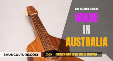 Tasman Guitars: Australian-Made or Not?
