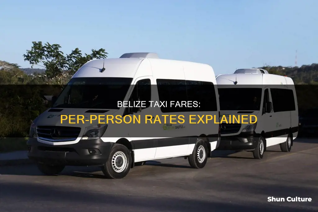 are taxis in belize per person