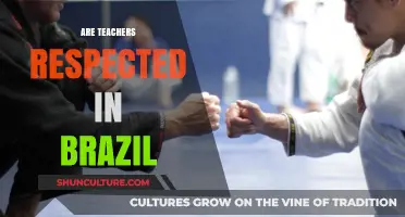 Teacher Respect in Brazil: Challenges, Perceptions, and Societal Value