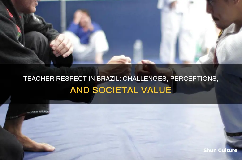 are teachers respected in brazil
