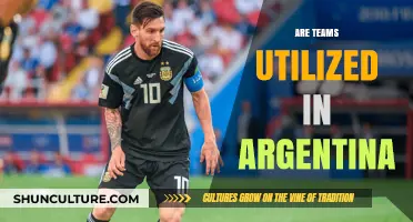 Exploring Team Dynamics and Utilization in Argentina's Workforce