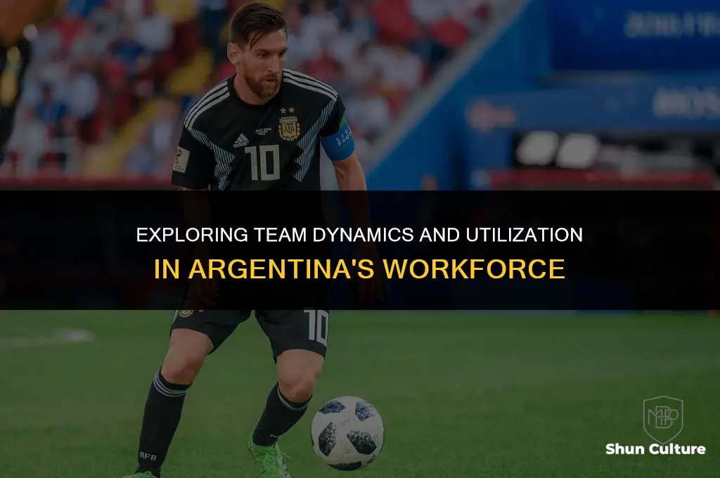 are teams utilized in argentina
