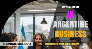 Exploring Team Dynamics in Argentine Business Culture