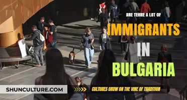 Exploring Immigration Trends: A Deep Dive into Bulgaria's Diverse Population