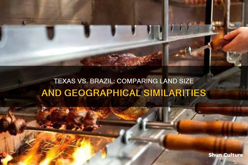 are texas and brazil similar in size