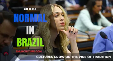 Understanding Transgender Acceptance and Normalcy in Brazilian Culture