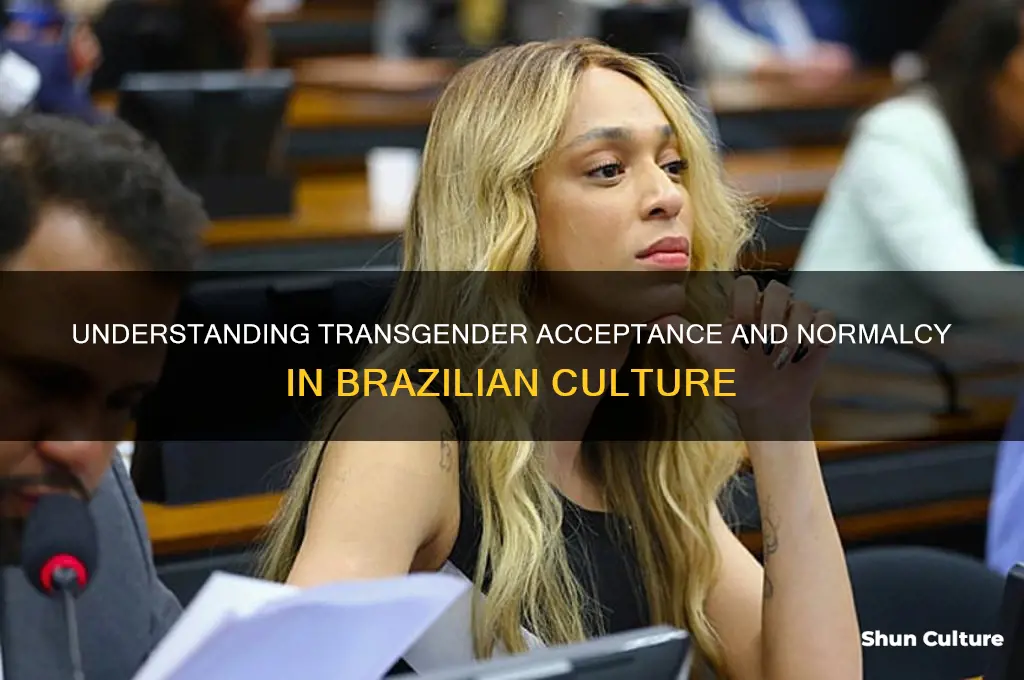 are tgirls normal in brazil