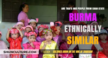 Exploring Ethnic Similarities: Thai and Shan State Burmese Communities