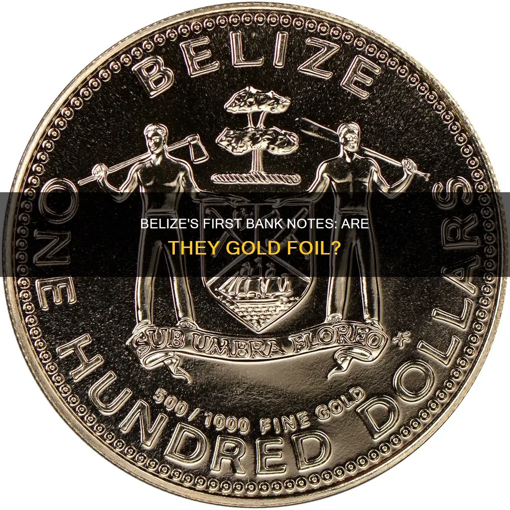 are the 1st bank notes of belize 22karart gold foil