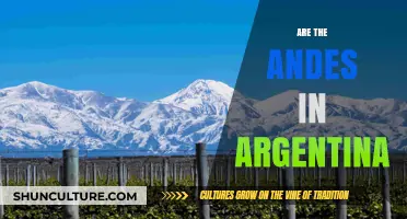 Exploring the Majestic Andes: Argentina's Natural Wonderland