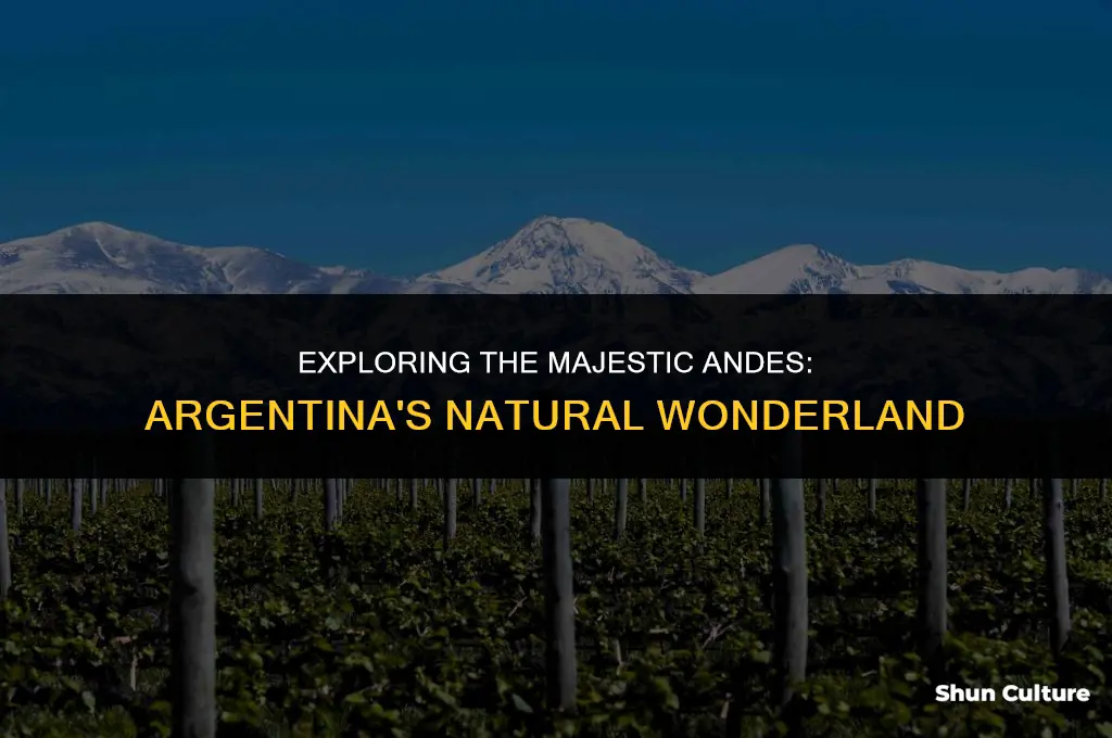 are the andes in argentina