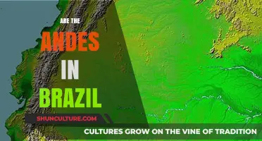 Are the Andes in Brazil? Unraveling South America's Mountain Mystery