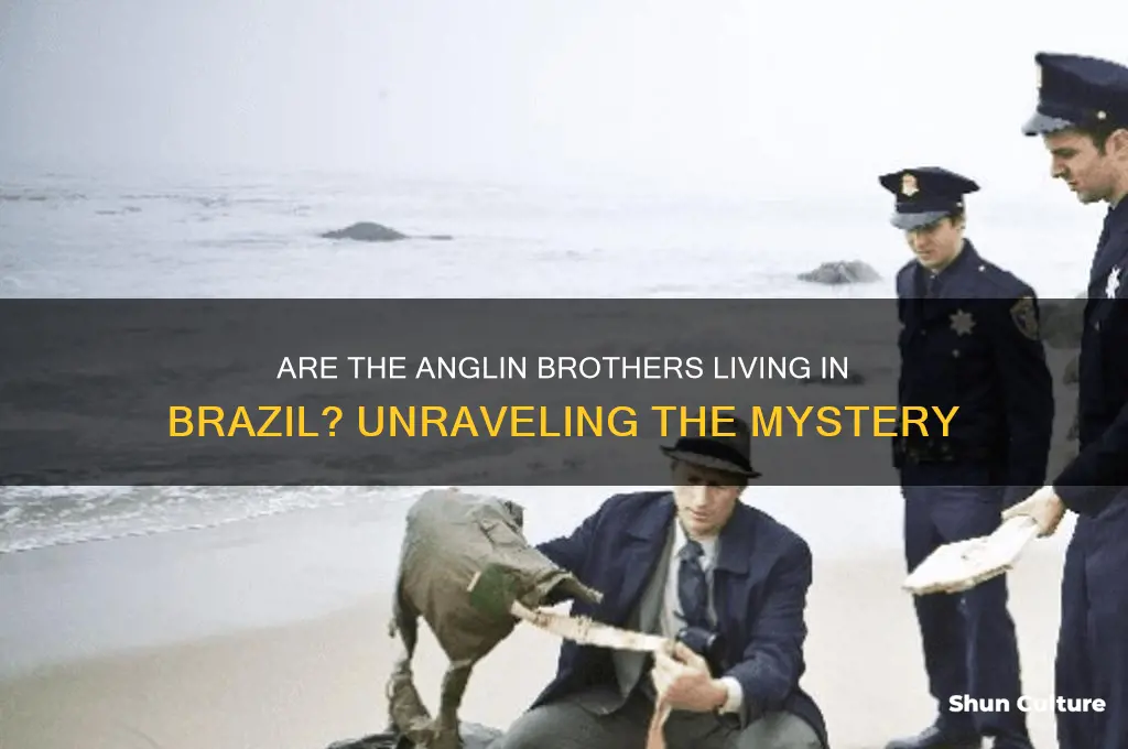 are the anglin brothers in brazil