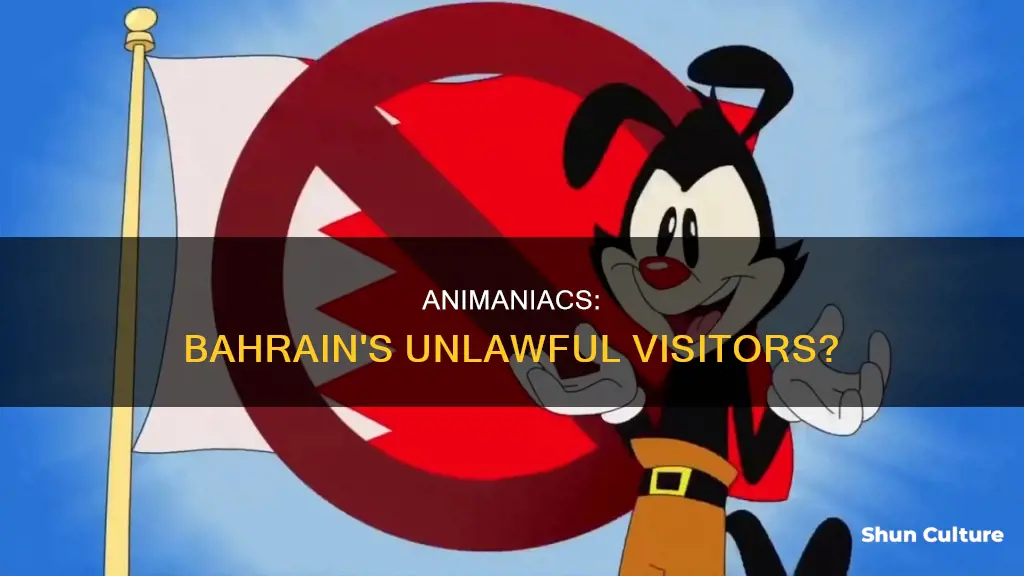 are the animaniacs illegal in bahrain