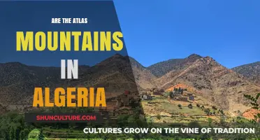 Exploring Algeria's Atlas Mountains: Location, Facts, and Travel Tips